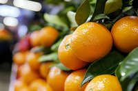 Fresh organic oranges with green leaves displayed at farmers market produce stand for healthy eating and natural nutrition concepts.