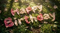 Fallen pink and cream flower petals scattered on lush green moss, creating a natural garden composition suitable for botanical, nature, and seasonal design projects.
