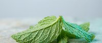 Fresh green mint leaves with detailed texture on light background for culinary and herbal applications.