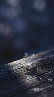 Single delicate snowflake resting on weathered wooden surface with dramatic dark blue bokeh background for winter seasonal designs.