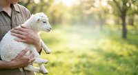 Farmer holding young white lamb in arms outdoors in green orchard setting, depicting animal husbandry and agricultural care practices.
