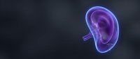 Human ear anatomy with glowing purple neon effect on dark background for medical education and healthcare presentations.