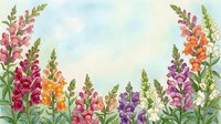 Watercolor snapdragon flowers border in pink, purple, orange and white on soft blue background, forming a floral frame for cards or invitations.