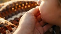 Close-up of hands holding fresh coffee beans with warm golden sunlight creating bokeh effect in background for coffee industry and agriculture concepts.