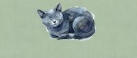 Relaxed gray cat lying down with eyes closed on isolated pale green background, suitable for pet-related designs and illustrations.