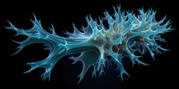 Glowing blue neuron with branching dendrites on black background, illustrating neural connectivity in brain science and medical research.
