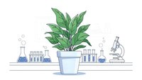 Green plant in pot on laboratory table with scientific equipment beakers test tubes and microscope for research and experimentation in modern lab setting.