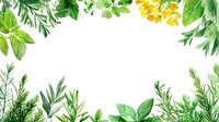Fresh herbs and yellow flowers frame on white background, creating botanical border for culinary, wellness, or garden-themed designs.