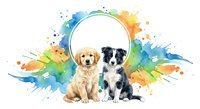 Two adorable puppies sitting together surrounded by vibrant watercolor paint splashes in rainbow colors on white background for pet design projects.