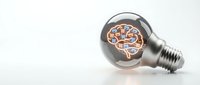 Creative lightbulb with human brain inside representing innovation, ideas, intelligence and mental power for business concepts and educational materials.