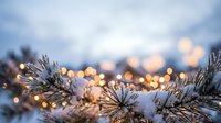 Winter pine branches with warm golden bokeh lights creating magical holiday atmosphere against soft blue sky background for seasonal decorations.