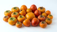 Fresh ripe persimmons in various sizes and colors arranged on white background, perfect for healthy eating and autumn harvest concepts.