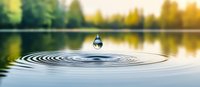Water drop creating concentric ripples on calm lake surface against blurred forest reflection background in golden sunset light. Perfect for environmental themes.