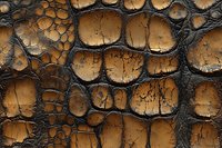 Detailed macro shot of brown and black alligator skin texture showing natural leather pattern with deep scales and rough surface texture. Great for luxury design projects.