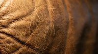 Close-up macro shot of brown leather texture showing natural grain patterns and stitching details for luxury craftsmanship and material design projects.