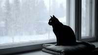 Black cat silhouette sitting on windowsill cushion, looking outside at snowy winter weather through frosted glass window pane.