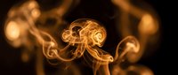 Glowing golden smoke swirls curl elegantly against a dark black background, creating a mystical abstract art effect for wallpapers and design.