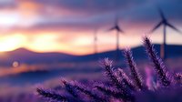 Silhouettes of wind turbines against dramatic sunset sky with purple lavender flowers in foreground, renewable energy concept for environmental projects.