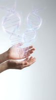 Human hands holding glowing DNA double helix strands representing genetic research, biotechnology innovation and medical science breakthroughs.