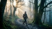 Man hiking through misty forest with tall trees and golden sunlight filtering through fog, suitable for outdoor adventure and nature travel content.