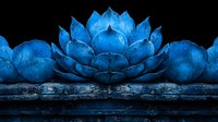 Glowing blue lotus flower on dark stone background creates mystical atmosphere with dramatic lighting and textural details. Spiritual zen concept for meditation.