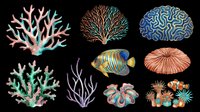 Coral reef marine life collection isolated on transparent background, featuring colorful corals, sea anemones, tropical fish, and ocean organisms. Ready for clipart, t-shirt design, print-on-demand products, stickers, and sublimation projects.