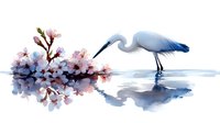 Elegant white egret wading in calm water near blooming cherry blossom branch, artistic watercolor style composition with reflection on serene blue surface.