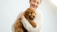 Young woman with fair skin and blonde hair wearing a cream knit sweater, holding and hugging a brown curly-haired dog against white background for pet care and companionship concepts.