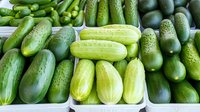 Fresh green cucumbers of different varieties displayed at farmers market. Organic produce background showing various sizes and textures of crisp vegetables.