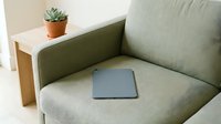 Modern minimalist living room interior with gray sofa, laptop computer and small succulent plant on wooden side table for home office workspace design.