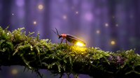 Glowing firefly on moss-covered branch creates magical forest scene with purple bokeh lights and golden sparkles in enchanted woodland setting.