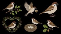 Sparrow birds collection with nest and wreath, isolated on transparent background. Ready for t-shirt design, clipart, stickers, print-on-demand products, and sublimation projects.