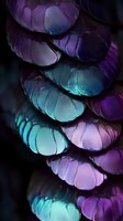 Extreme macro photography of iridescent butterfly wing scales showing vibrant purple and turquoise colors with detailed texture pattern in dark background.