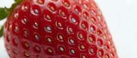 Fresh red strawberry with seeds and green leaf on white background, suitable for food photography, recipe blogs, and healthy eating content.