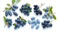 Assorted fresh blueberries with green leaves arranged on white background, ready for food styling, recipe development, and culinary design projects.