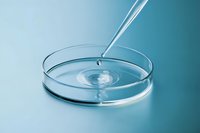 Clear liquid droplet falling from pipette into glass petri dish creating ripple effect on turquoise background, macro photography for scientific research.