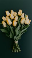 Fresh bouquet of cream and yellow tulips tied with ribbon against dark green background, elegant floral arrangement for spring celebrations and special occasions.