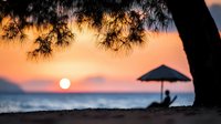 Tropical sunset beach scene with silhouetted palm tree and umbrella chair overlooking calm ocean waters during golden hour creating peaceful vacation atmosphere.