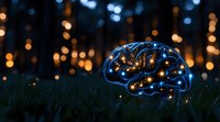 Glowing brain silhouette on grass at night with magical bokeh lights in background creates dreamy atmosphere for concepts of mind, intelligence and creativity.