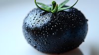 Fresh black tomato with water droplets and green stem on white background for healthy organic food concepts.