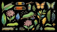 Caterpillars, butterflies, and botanical elements collection isolated on transparent background, ready for clipart, t-shirt design, stickers, print-on-demand products, and sublimation projects.