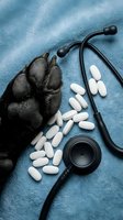 Dog paw with stethoscope and white pills on blue towel representing veterinary medicine and pet healthcare treatment.