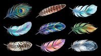Watercolor feathers collection isolated on transparent background, ready for t-shirt design, clipart, stickers, sublimation and print-on-demand projects.