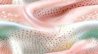Luxurious silk fabric with gold polka dot pattern in pastel pink and mint green colors creates elegant flowing waves and soft folds. Seamless repeat design.