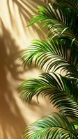 Lush green palm leaves casting dramatic shadows on beige wall in sunlight, creating natural tropical pattern for wellness and spa design background.