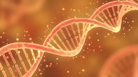 Glowing DNA double helix structure with illuminated strands and particles on warm orange background, suitable for genetics, science, medical, and biotechnology presentations.