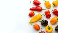 Colorful mini sweet peppers scattered on white background with copy space for culinary designs and healthy eating concepts.