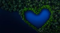 Aerial view of heart-shaped blue lake surrounded by lush green forest canopy, captured from above showing natural formation in wilderness landscape.