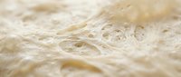 Macro close-up of bread dough texture showing air pockets and gluten structure, suitable for baking, food photography, and culinary content.