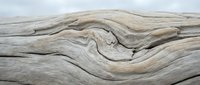 Weathered driftwood texture with natural flowing grain patterns and smooth curves shaped by ocean waves, perfect for rustic coastal design projects.